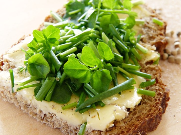 Read more about the article Substitute for watercress