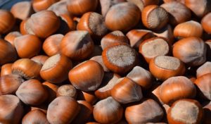 Read more about the article Substitute for hazelnuts