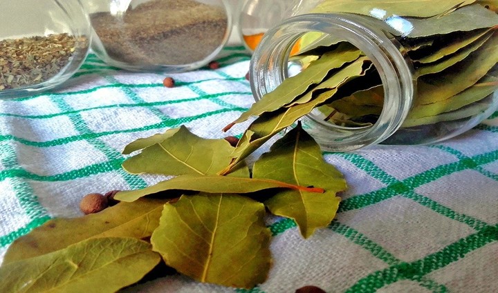 Read more about the article Substitutes for bay leaf