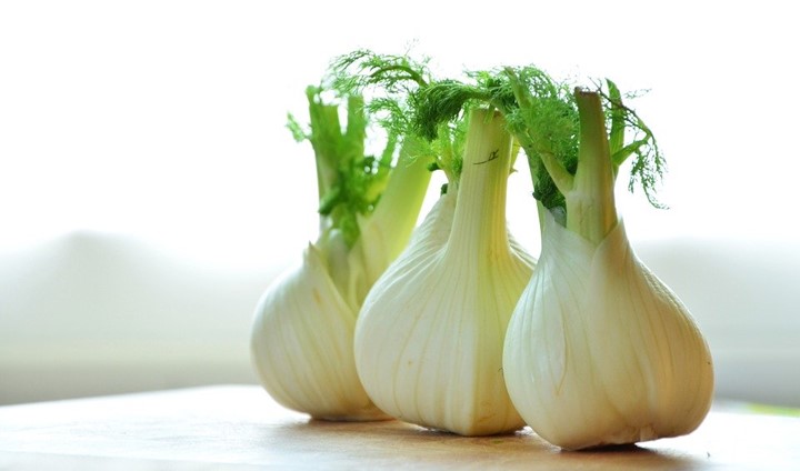 Read more about the article Substitute for fennel